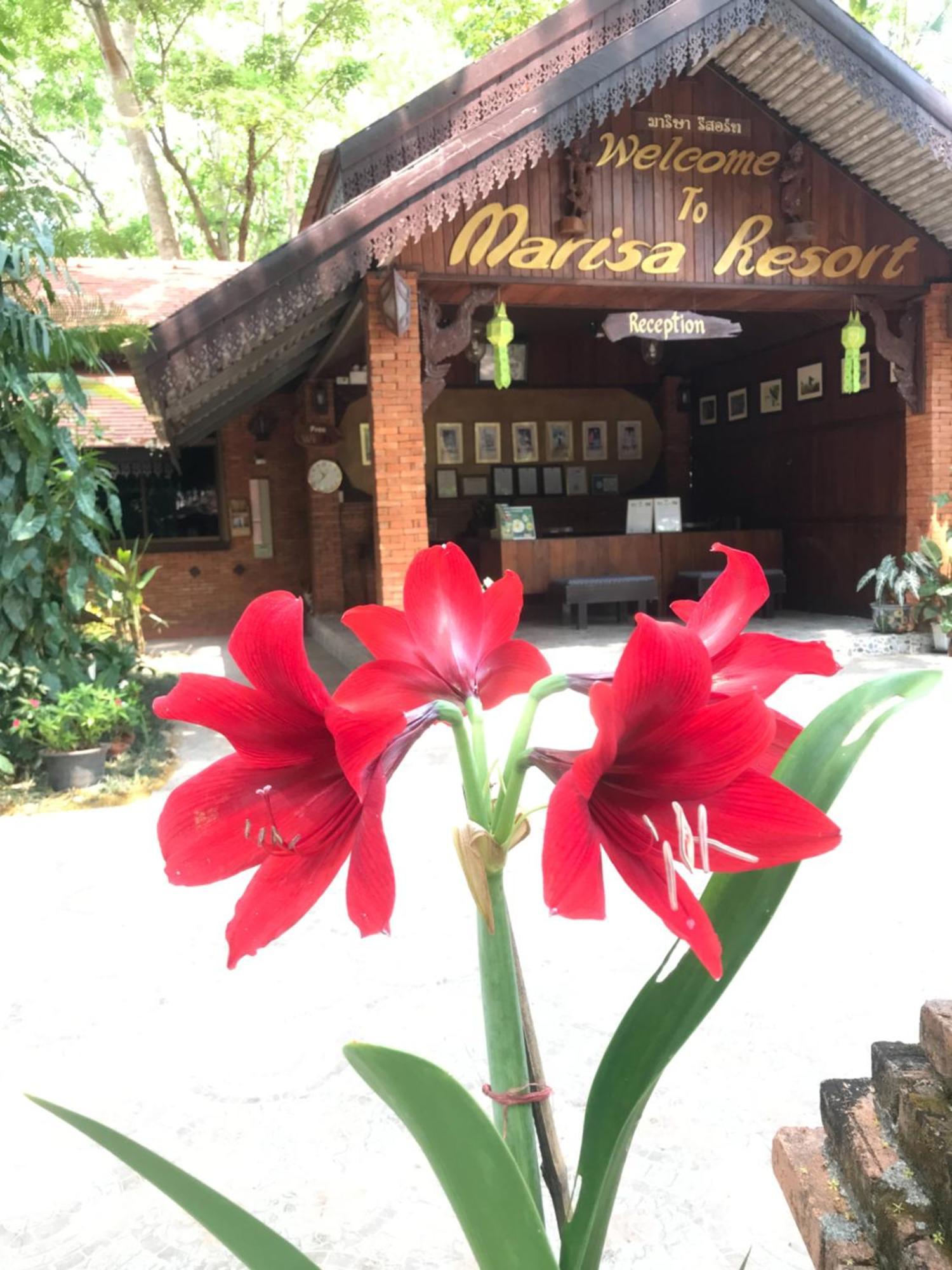 Marisa Resort & Spa Chiang Dao Ban Muang Ngai Екстер'єр фото